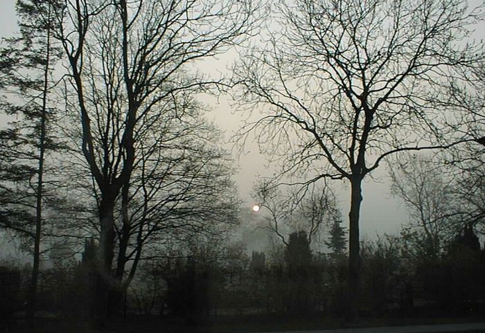 Sonnenaufgang im Nebel