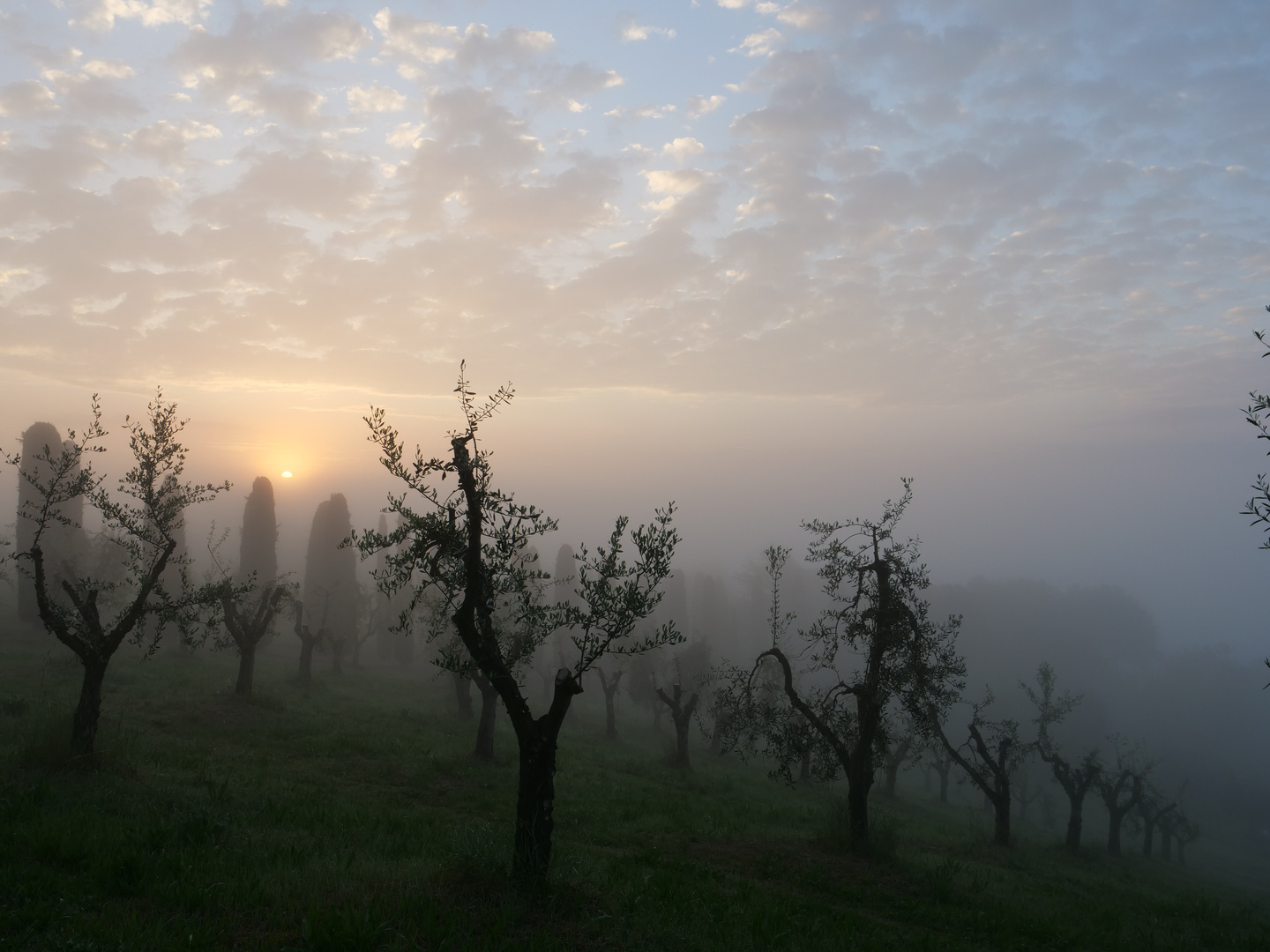 Sonnenaufgang im Nebel