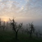 Sonnenaufgang im Nebel