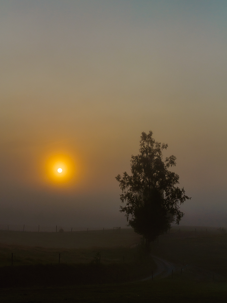 Sonnenaufgang im Nebel...