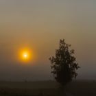 Sonnenaufgang im Nebel...