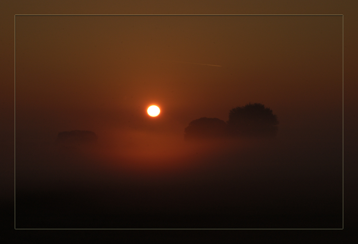 Sonnenaufgang im Nebel