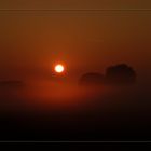 Sonnenaufgang im Nebel