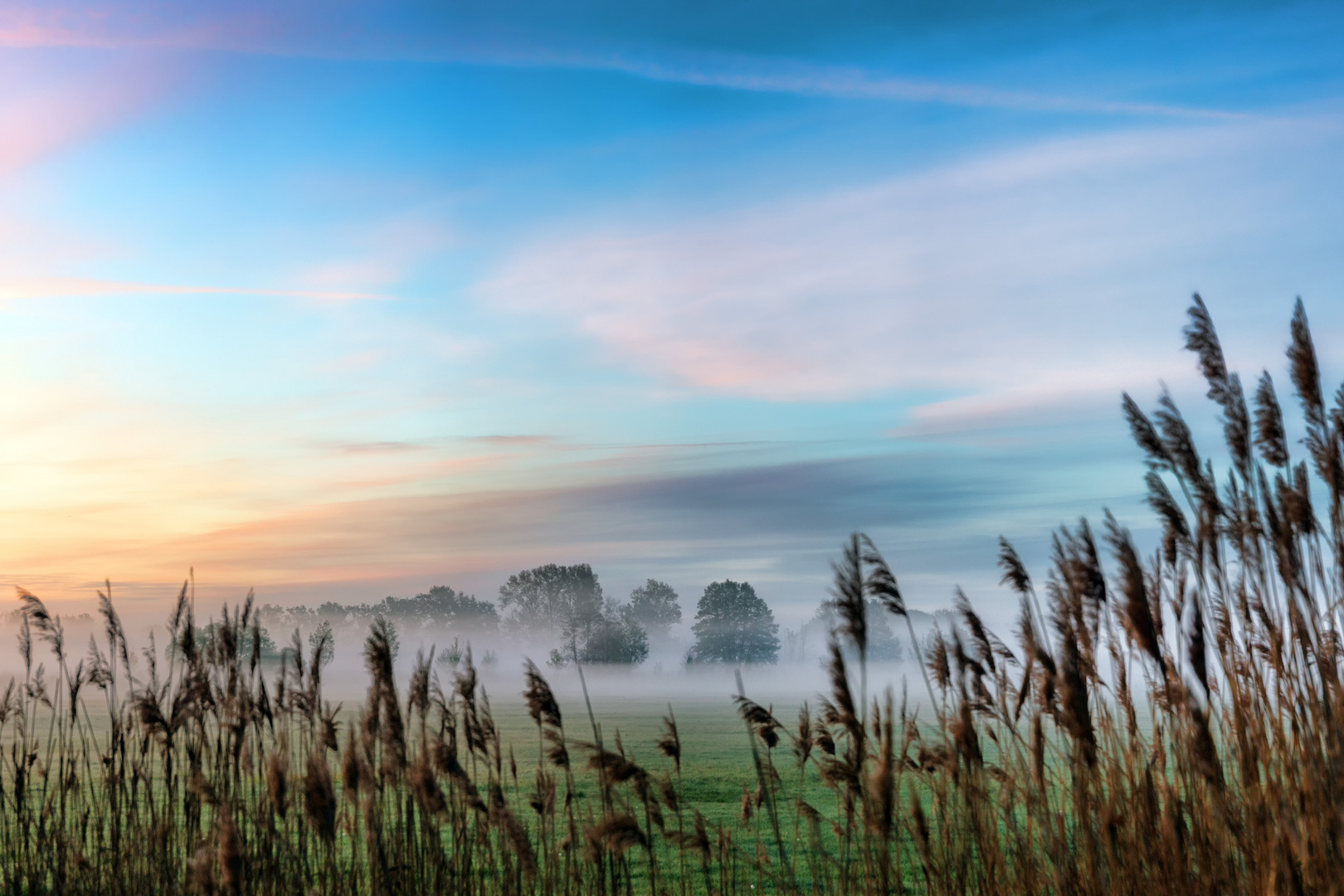 Sonnenaufgang im Nebel