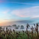 Sonnenaufgang im Nebel