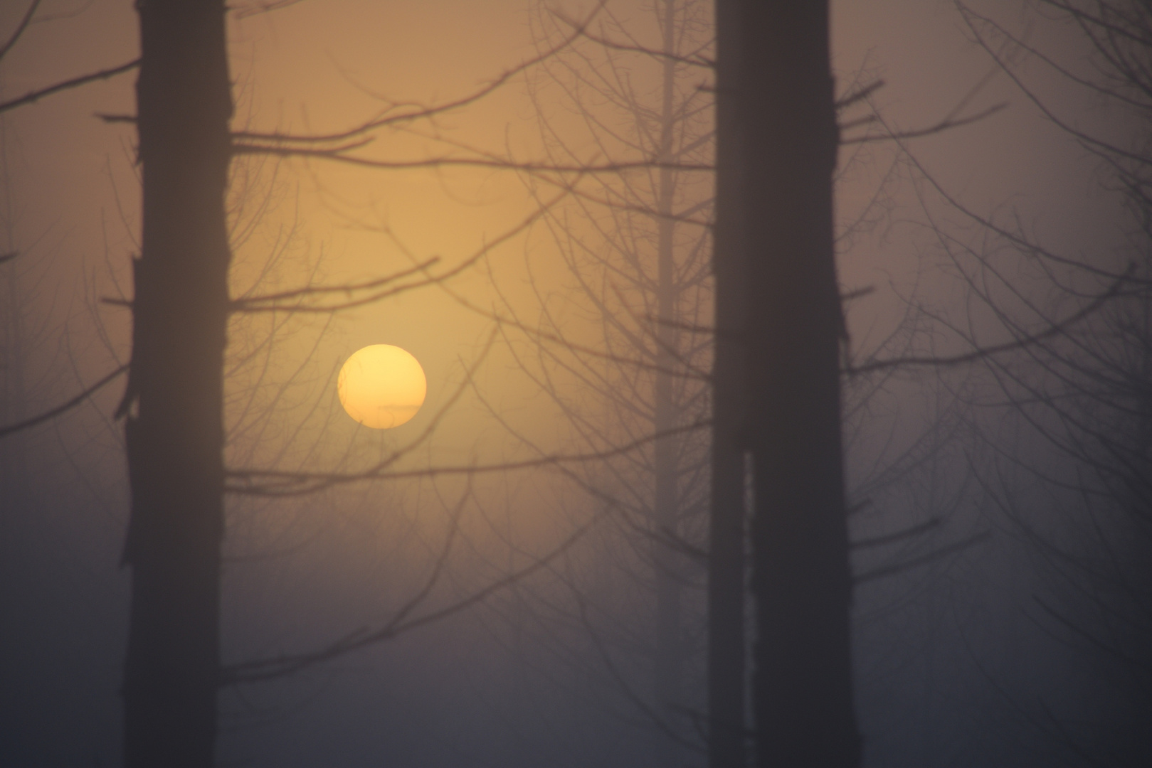 Sonnenaufgang im Nebel 