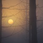 Sonnenaufgang im Nebel 