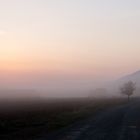 Sonnenaufgang im Nebel