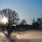 Sonnenaufgang im Nebel