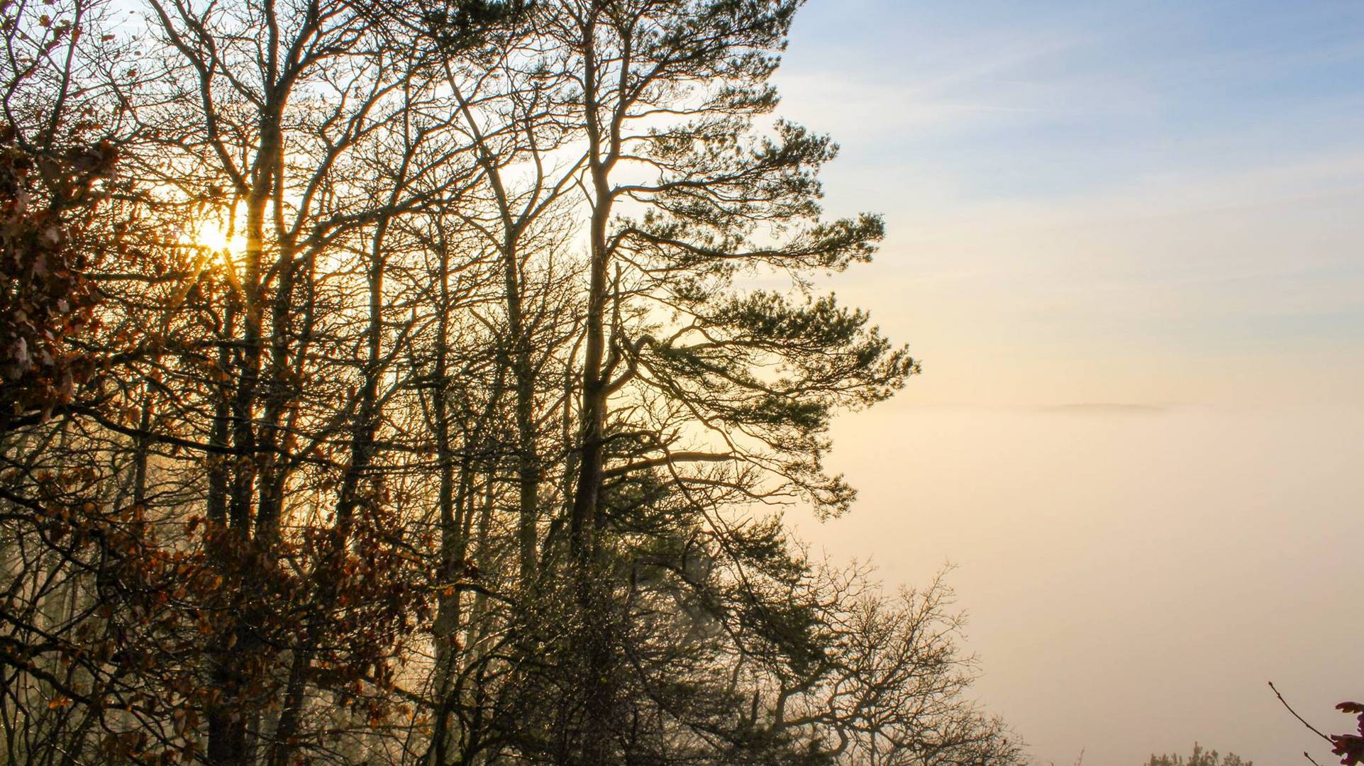 Sonnenaufgang im Nebel