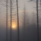 Sonnenaufgang im Nebel 