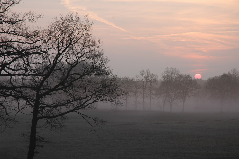 Sonnenaufgang im Nebel