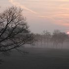 Sonnenaufgang im Nebel