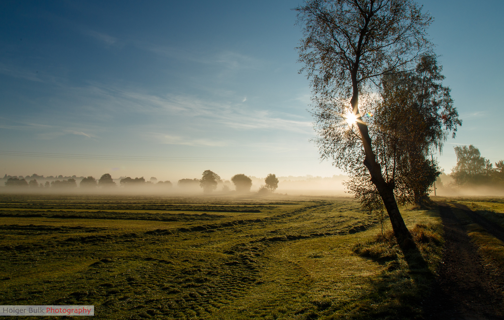 Sonnenaufgang im Nebel