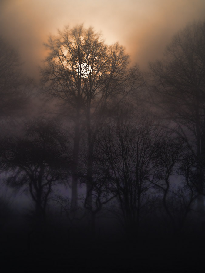 Sonnenaufgang im Nebel