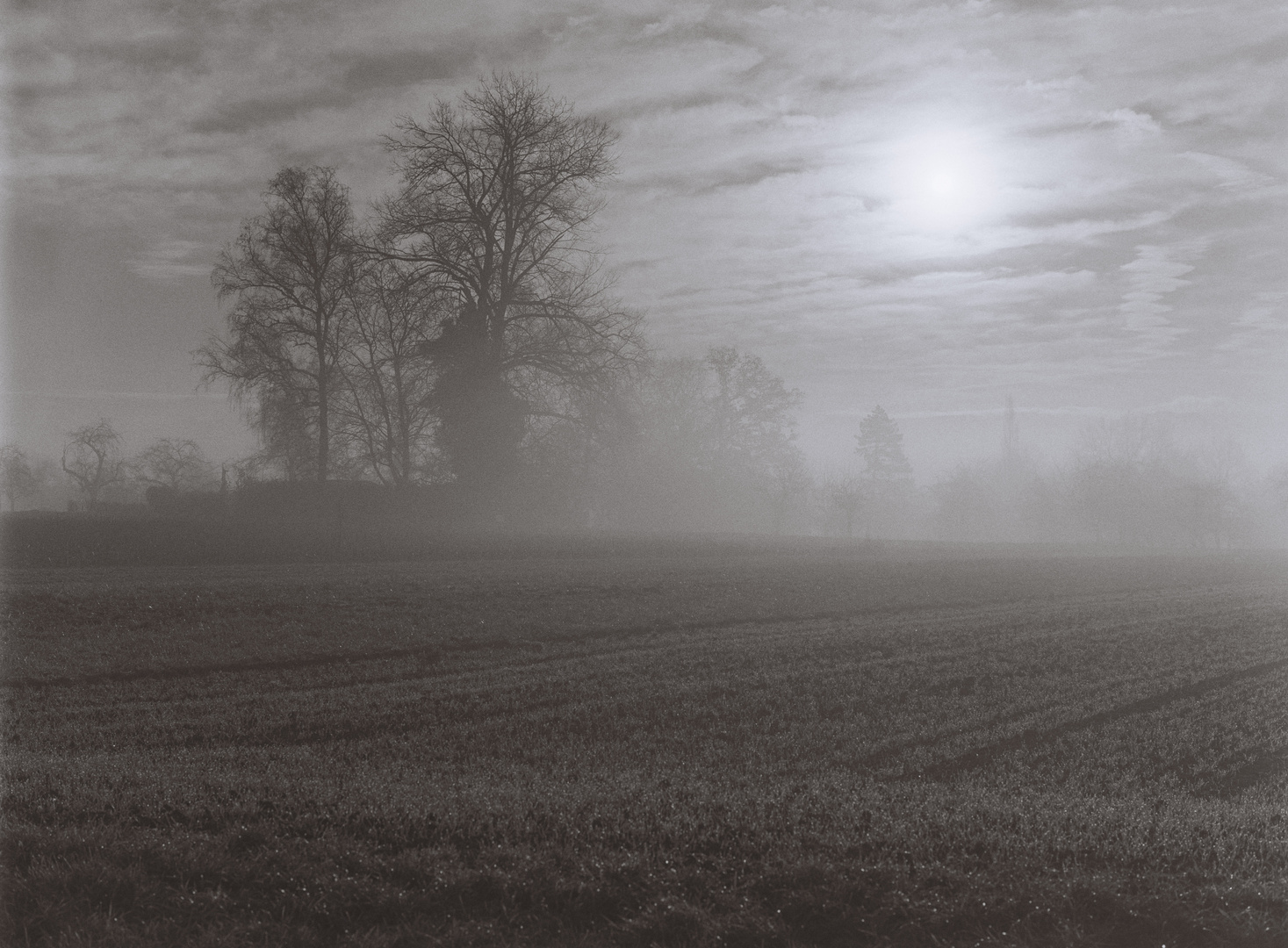 Sonnenaufgang im Nebel