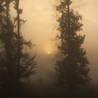 Sonnenaufgang im Nebel 