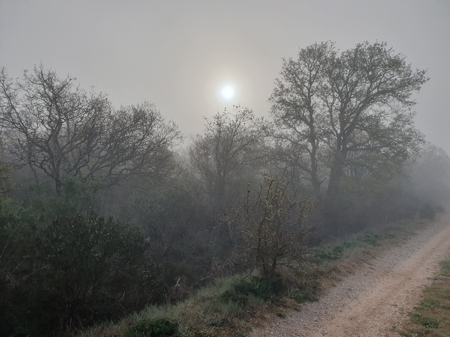 Sonnenaufgang im Nebel