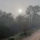 Sonnenaufgang im Nebel