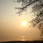 Sonnenaufgang im Nebel am Bodensee