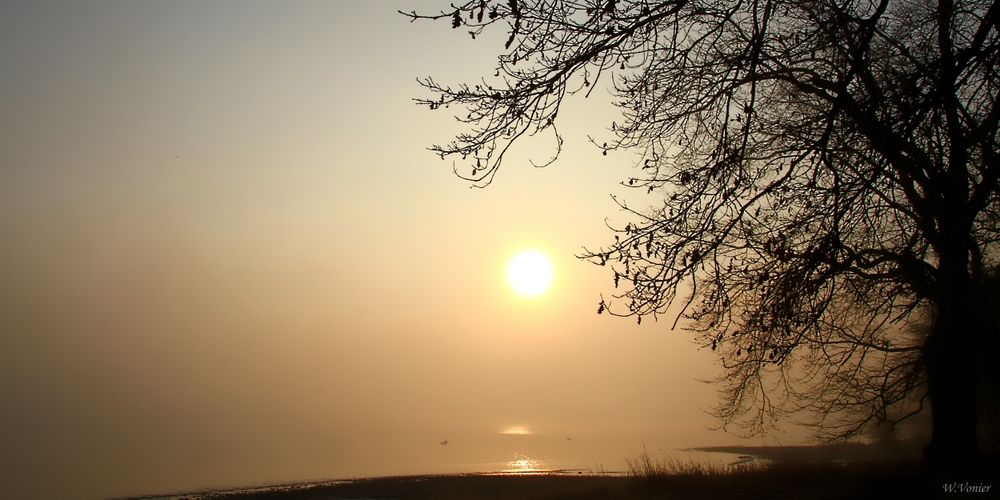 Sonnenaufgang im Nebel am Bodensee