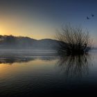 Sonnenaufgang im Nebel an der Weser