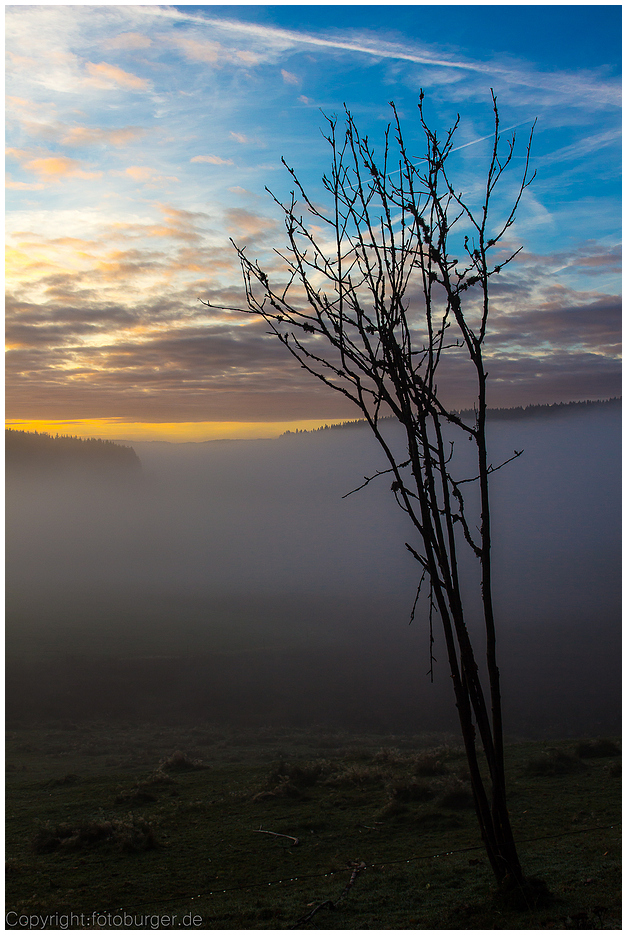 Sonnenaufgang im Nebel auf der B500 (Bild2)