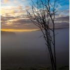 Sonnenaufgang im Nebel auf der B500 (Bild2)