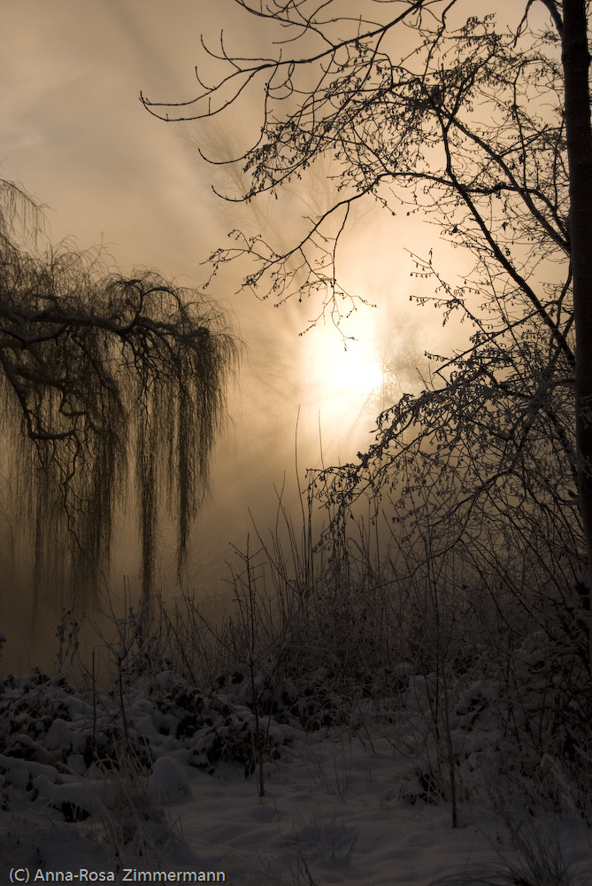 Sonnenaufgang im Nebel