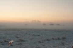 Sonnenaufgang im Nebel