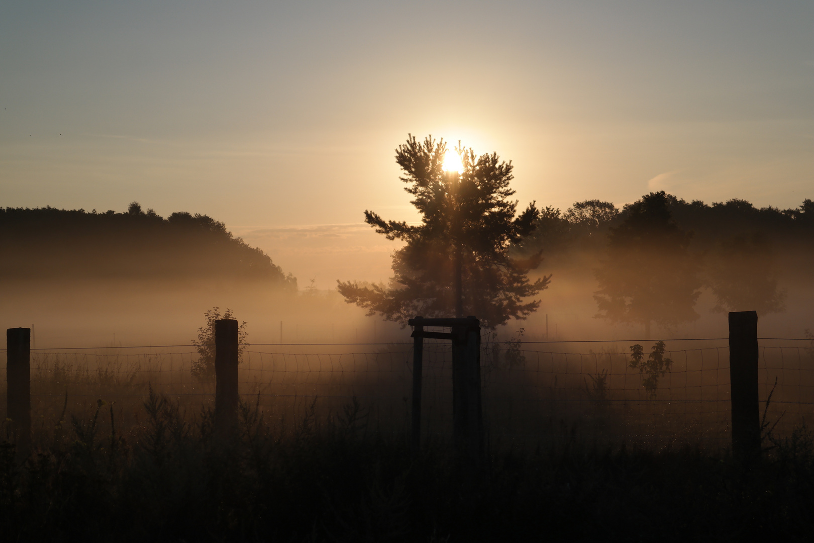 Sonnenaufgang im Nebel