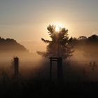 Sonnenaufgang im Nebel