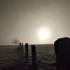 Sonnenaufgang im Nebel