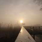 Sonnenaufgang im Nebel (Bad Zwischenahn)