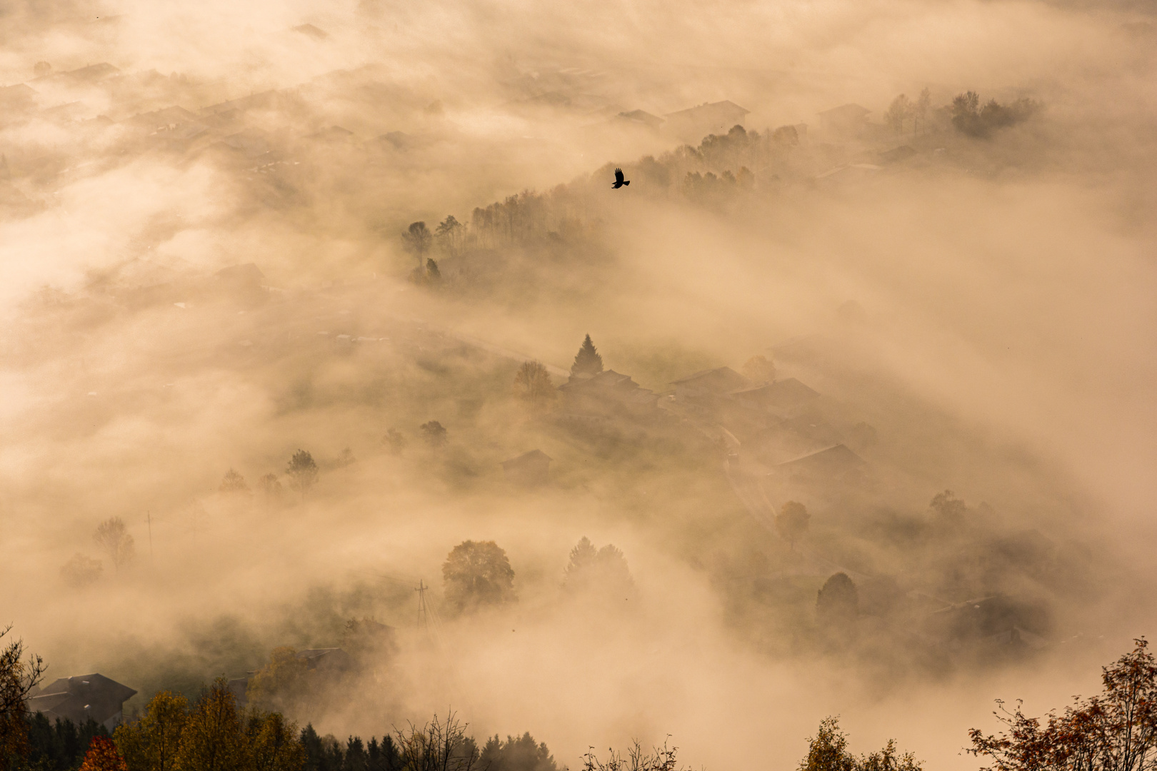 Sonnenaufgang im Nebel