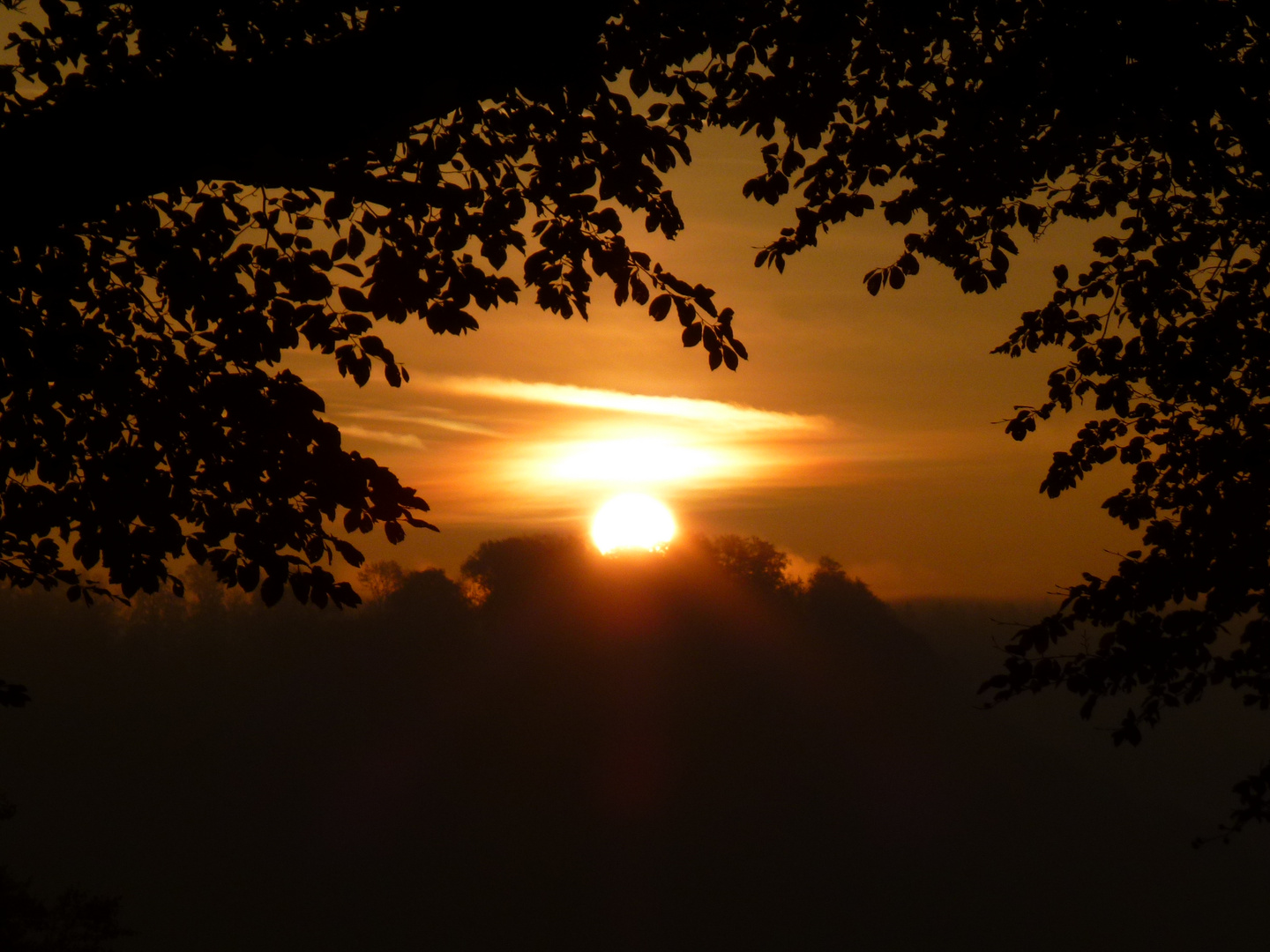 Sonnenaufgang im Nebel