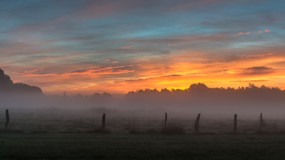 Sonnenaufgang im Nebel Bild 2
