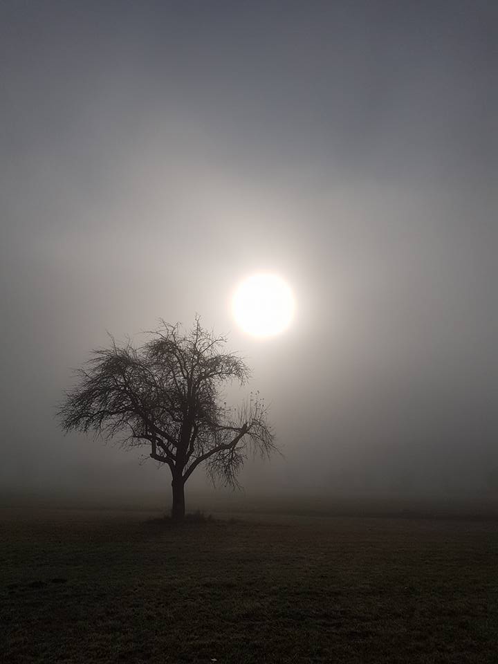 Sonnenaufgang im Nebel