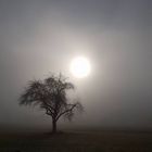 Sonnenaufgang im Nebel