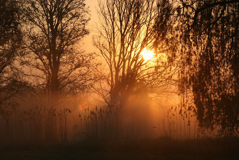 Sonnenaufgang im Nebel