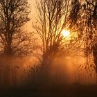 Sonnenaufgang im Nebel