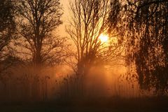 Sonnenaufgang im Nebel