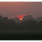 Sonnenaufgang im Nebel