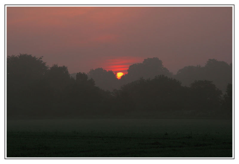 Sonnenaufgang im Nebel