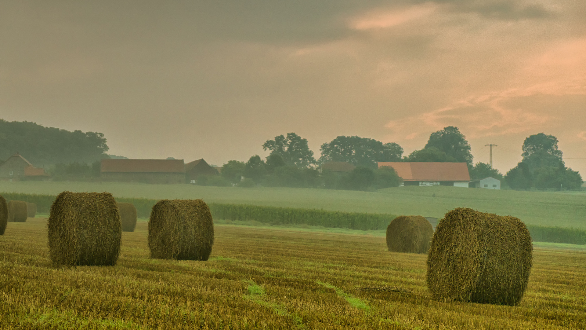 Sonnenaufgang im Nebel