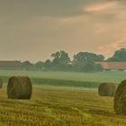 Sonnenaufgang im Nebel