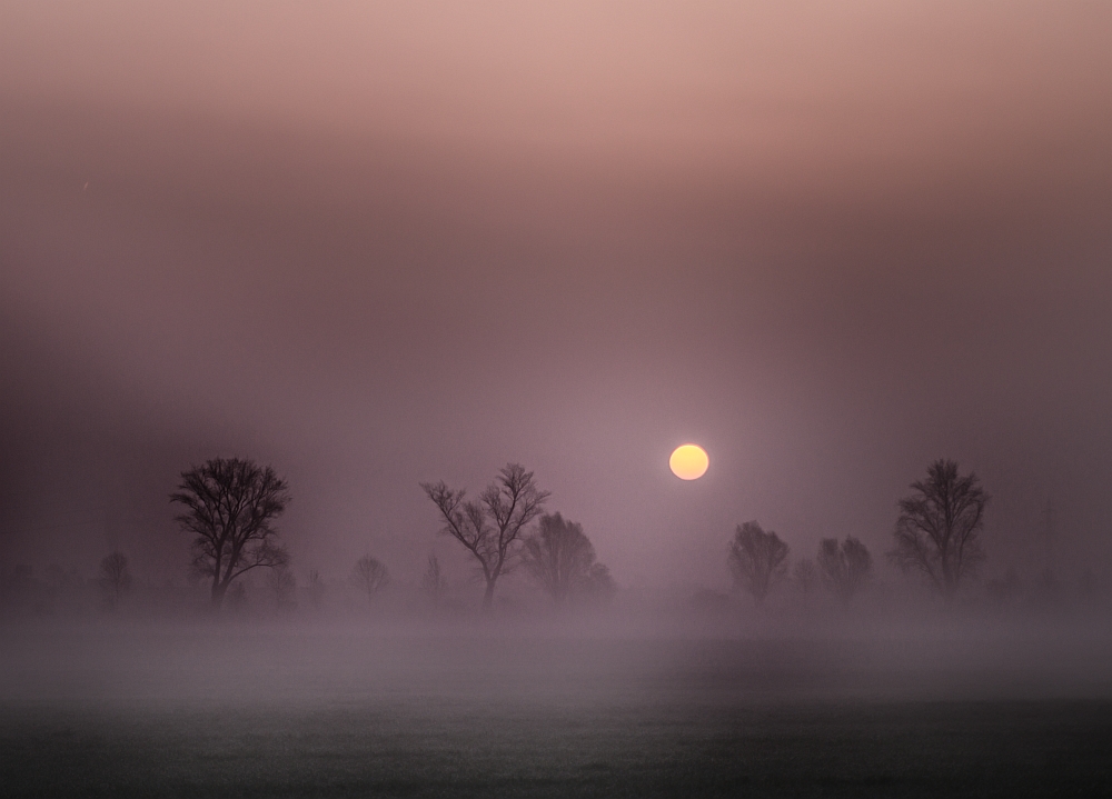 Sonnenaufgang im Nebel