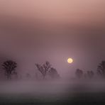 Sonnenaufgang im Nebel