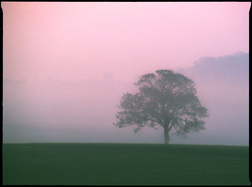 Sonnenaufgang im Nebel