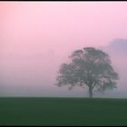 Sonnenaufgang im Nebel